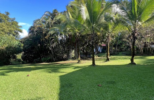 Quepos Cottage | Blue Banyan Inn