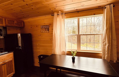 Surry Cabin | Blue Cabin by the Brook in Surry close to Acadia National Park and Bar Harbor
