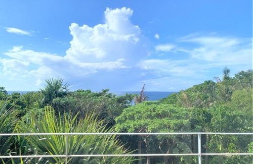 Ishigaki Hotel | Blue cave Blue in Green - Vacation STAY 31651v