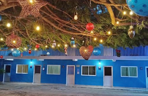 Downtown Cancun Hotel | Blue Coconut Cancun Hotel