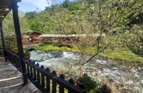 Mesopotam Ski Chalet | Blue Eye Villas
