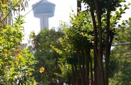 Downtown San Antonio Apartment | Blue House - Suite 3