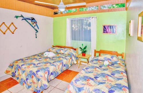 Samara Hotel | Blue Iguana