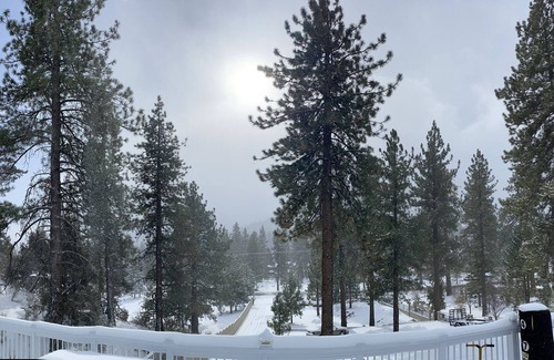 Wrightwood House | Blue Jay Suite