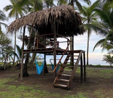 Parrita House | Blue Pineapple Villa