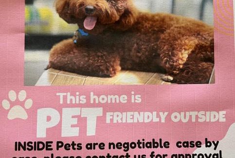 Waterhouse House | Blue Poles - Pet Friendly