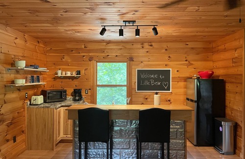 Butler Cabin | Blue Ridge Mountain East Tennessee Cabin Get-a-way Pet Friendly