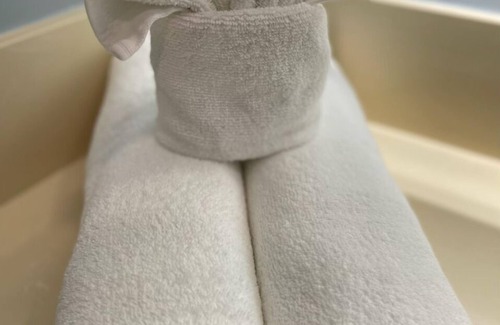 Downtown Hotel | Blue Seal Inn