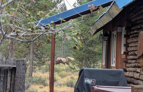 Three Rivers House | Blue Top Cabin Bend Sunriver Log Hot Tub Fire Pit Family Dog Horse Friendly Public Trail Access