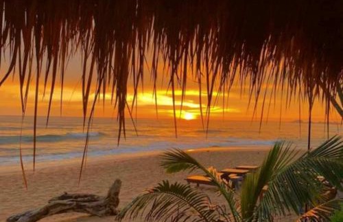 Hikkaduwa Hotel | BLUE WHALES HOTEL