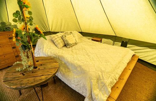 Upper Hulme Other | Bluebell bell tent The Roaches