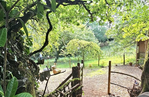 Calverleigh Cottage | Bluebell Cottage At Lurley Manor In Devon