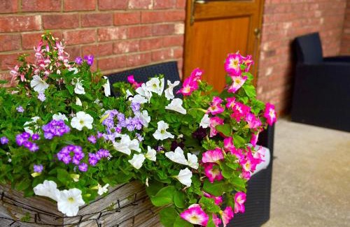 Tetney House | Bluebell Cottage - Cedar Park