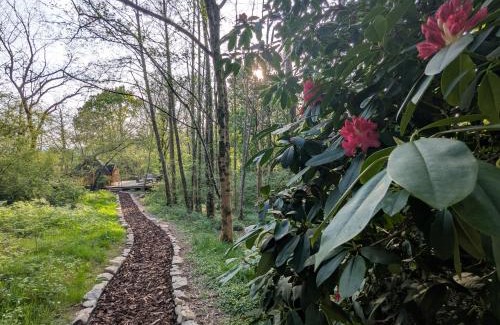 Llanfair Clydogau Other | Bluebell Hideaway