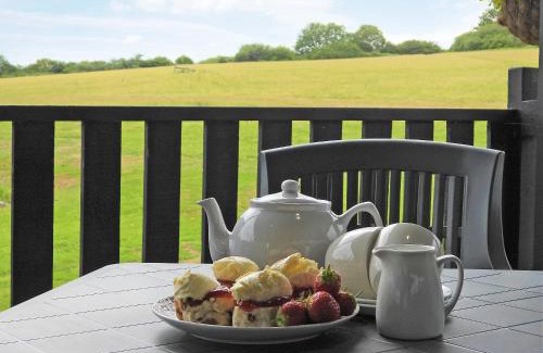 Beaworthy House | Bluebell Lodge - Uk13449