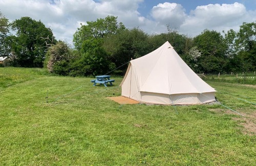 Whitchurch Other | Bluebell Wilds