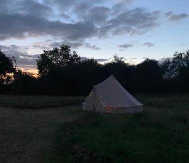 Whitchurch Other | Bluebell Wilds