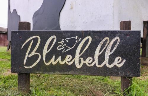 Woodbridge House | Bluebelle Cow Shed 5