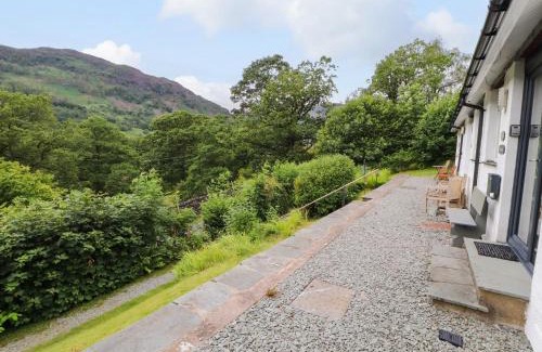 Chapel Stile House | Bluebells