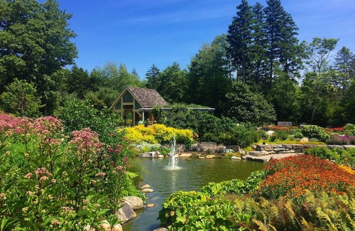 Ocean Point Hotel | Bluebird Ocean Point Inn | Oceanfront King w/Porch | Free Coffee and Tea