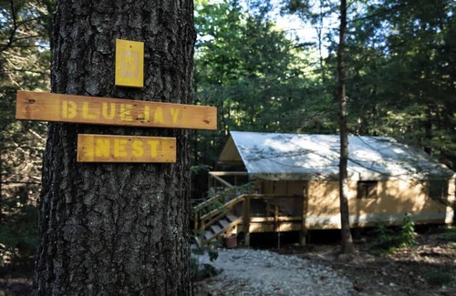 Primrose RV Rental | Bluejay's Nest-Lux Camping Tent in the Gorge️
