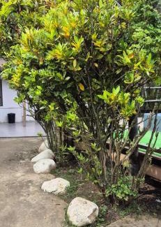 Nadi Hotel | BlueLight Village Hotel