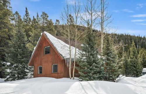 Blue River House | BlueRiver 3BD 2BA 10MI to Breck