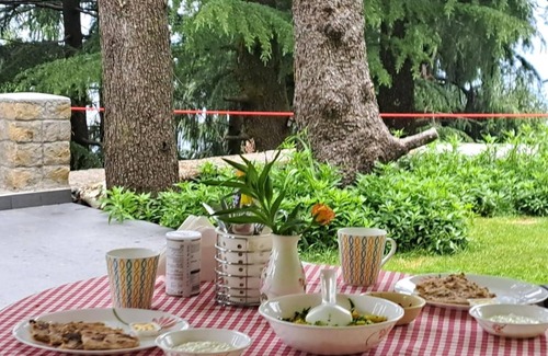 Dalhousie Villa | BluSalzz Villas - The Pine Tree, Dalhousie - Himachal Pradesh