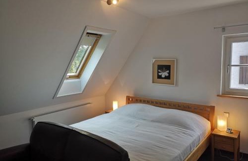 Stadtmitte Apartment | BMS BALANCE - Natur, Entspannung, King Size Bett, Free Parking, TOP Lage, Netflix