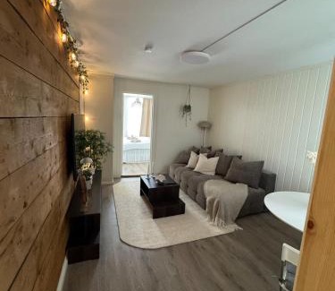 Bergen City Centre Apartment | Bo i Bergens eldste smau på Nøstet - sentralt og rolig