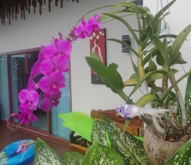 Kantang Bed & Breakfast | Bo Pla Homestay