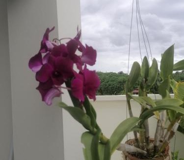 Kantang Bed & Breakfast | Bo Pla Homestay
