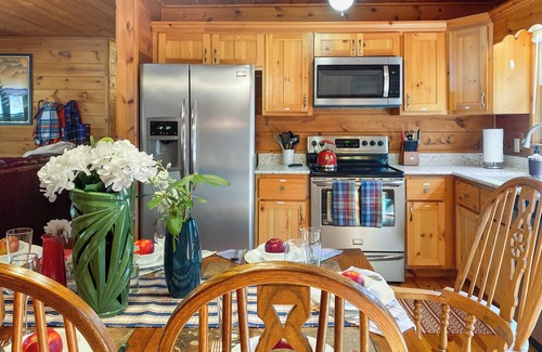 Blue Ridge Cabin | Boat Parking near lake, game room, epic retreat!