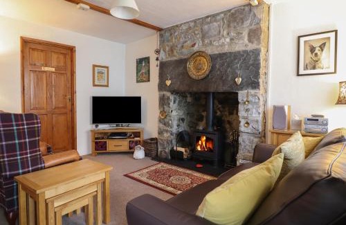 Trawsfynydd House | Bodalaw