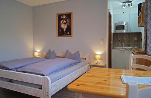 Treseburg Apartment | BodeBude