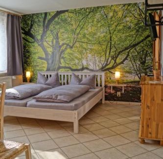 Treseburg Apartment | BodeBude