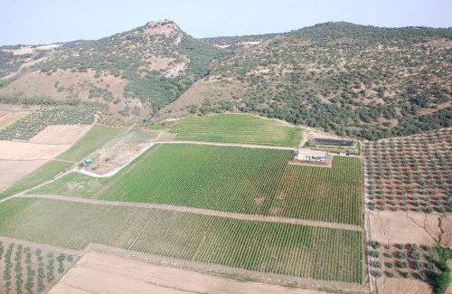 Ronda Apartment | Bodegas Morosanto