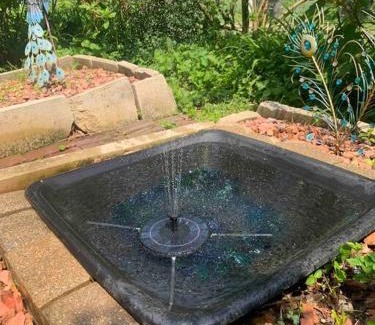 Bloomington House | Boho Garden Bungalow Near IU, Downtown, EV Level 2 Station