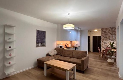Boleslawiec Apartment | BoleslaviaApartments - Apartament Merci 1, parking free, air conditioning