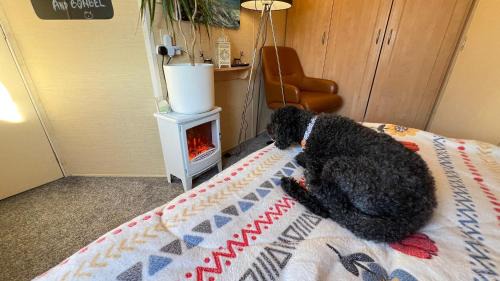 Ulrome House | Bombel's Cottage