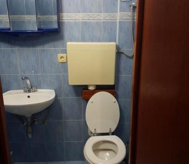Mali Losinj Apartment | Bonifacic