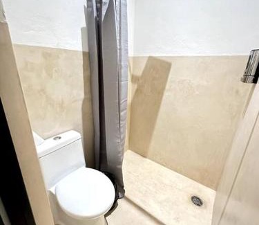 Barrio de Santiago Apartment | Bonito Loft en Merida, Yuc