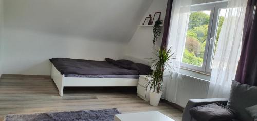 Oberkassel Apartment | Bonn/Königswinter ferienwohnung