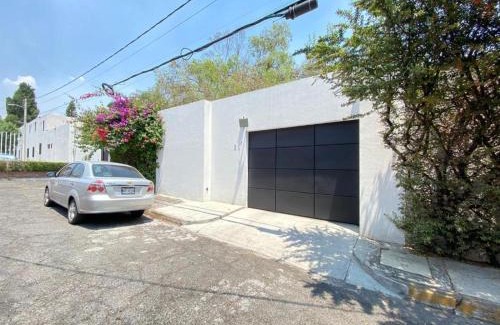 Alvaro Obregon House | Bonsai Las Aguilas