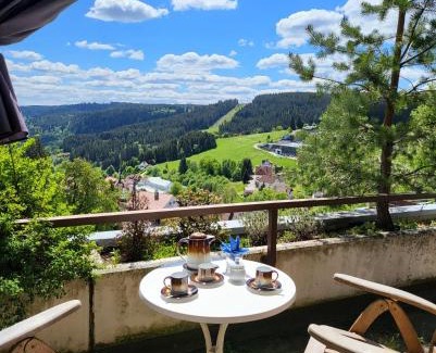 Schonach im Schwarzwald Apartment | book-3days-get-1day-free! Balcony-Apartment in Schonach center