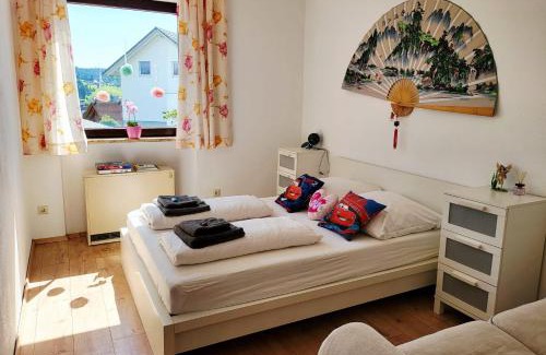 Schonach im Schwarzwald Apartment | book-3days-get-1day-free! Balcony-Apartment in Schonach center
