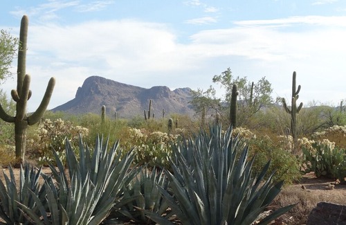 Picture Rocks West House | Book over 30 days and no taxes plus 20% discount!