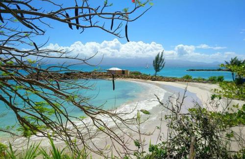 Pointe de la verdure Apartment | Bord de mer - Studio Papiyon