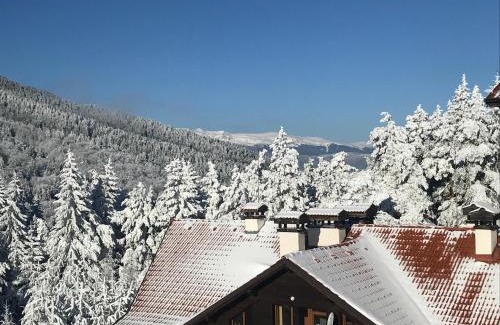 Samokov Apartment | Borovets Hills Apartments - Evergreen Suite