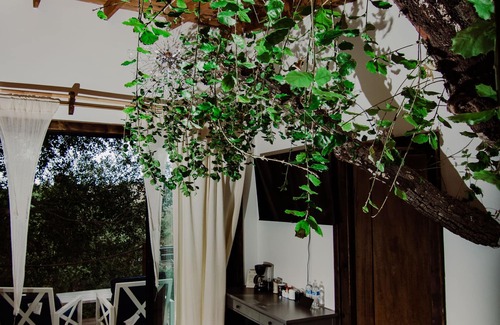 Ensenada Hotel | Boskenvid Hotel Boutique, Skypool